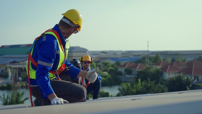 Steel Roofing in Waipio, HI